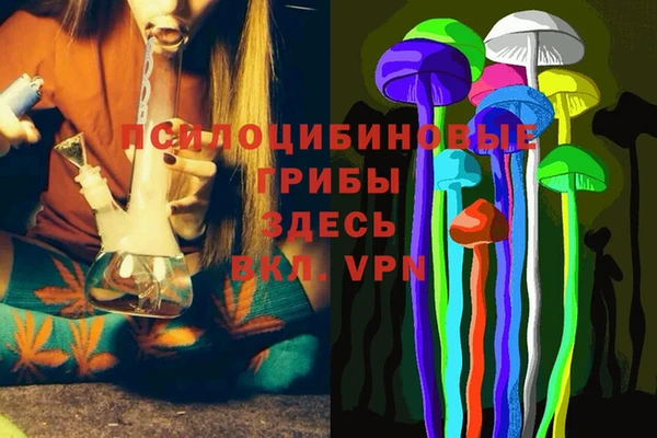 шишки Вязьма