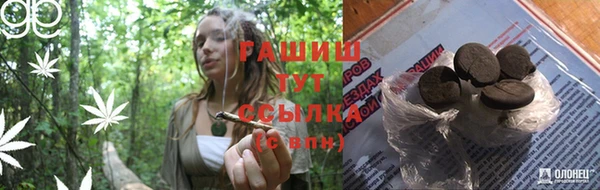 скорость Вяземский