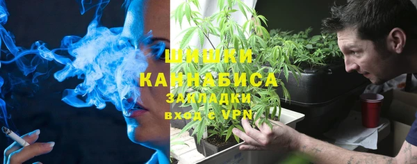 скорость Вяземский