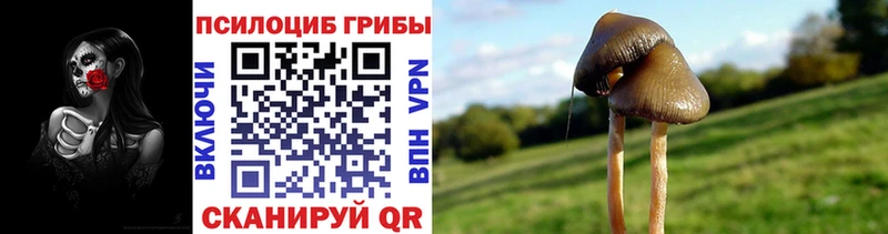 Галлюциногенные грибы мухоморы ссылка на мегу зеркало Инта