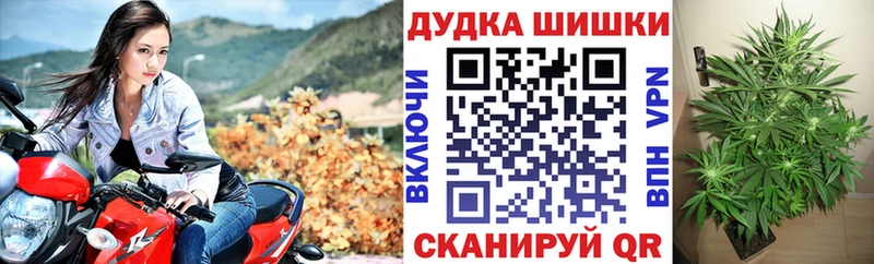 Шишки марихуана Amnesia  гидра ссылки  Инта 